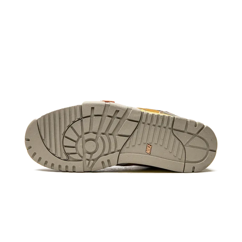 Nike Air Trainer 1 SP Coriander Mens