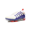 Nike Air Vapormax Plus Coconut Milk / Hyper Royal Mens
