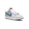 Nike Dunk low Silver Surfer Mens