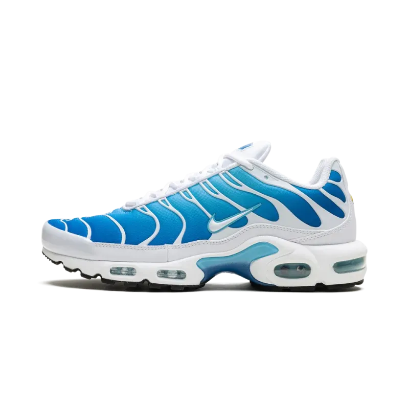 Nike Air Max Plus Blue Gaze Mens