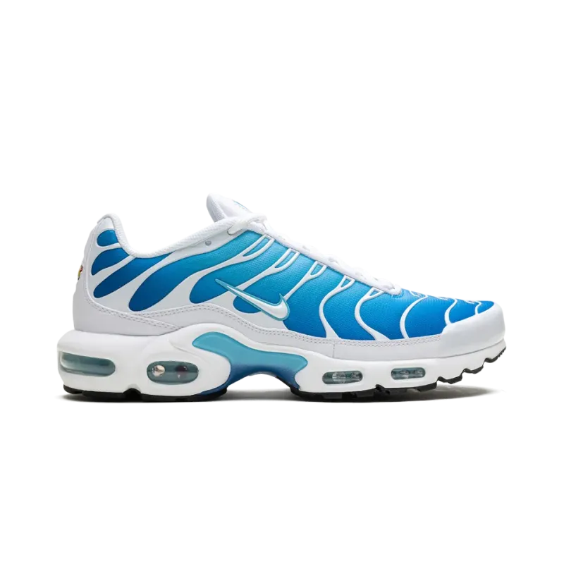 Nike Air Max Plus Blue Gaze Mens