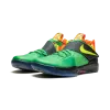 Nike KD 4 Weatherman Mens