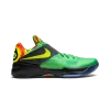Nike KD 4 Weatherman Mens